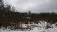 Ярок з panoramio.com - Ярок