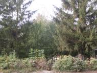 Кузьминці з panoramio.com