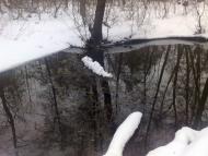 Буринь з panoramio.com