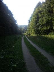 Відники з panoramio.com