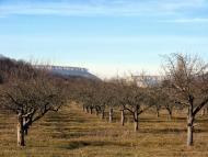 Нижня Голубинка з panoramio.com