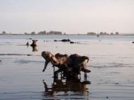 Кедина Гора з panoramio.com