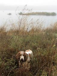 Каплани з panoramio.com