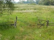 Устя з panoramio.com