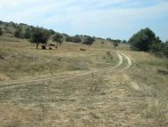 Скельки з panoramio.com