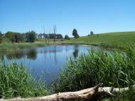 Вишняки з panoramio.com - Вишняки