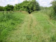 Остроушки з panoramio.com