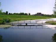 Корнин з panoramio.com