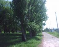 Яблунів з panoramio.com