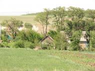 Андронівка з panoramio.com