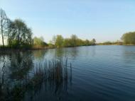 Роїще з panoramio.com