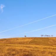 Черкаська Лозова з panoramio.com