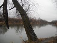 Довге з panoramio.com