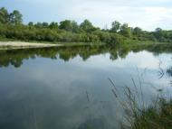 Новомутин з panoramio.com