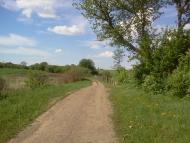 Тарасове з panoramio.com