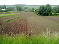 Саранчуки з panoramio.com