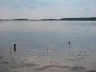 Дернаки з panoramio.com