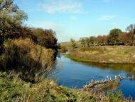 Василівка з panoramio.com