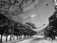 Антопіль з panoramio.com