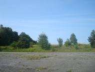 Шпиколоси з panoramio.com