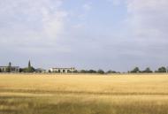 Кубанське з panoramio.com