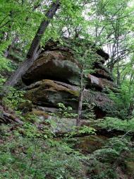 Слобода-Бушанська з panoramio.com