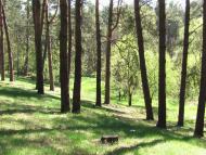 Озерне з panoramio.com