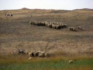 Вулканівка з panoramio.com