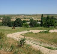 Айвове з panoramio.com