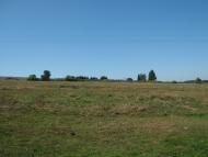 Пилипи з panoramio.com