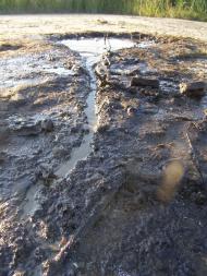 Старуня з panoramio.com