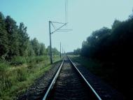 Дубіївка з panoramio.com