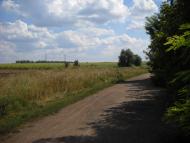 Дібрівка з panoramio.com