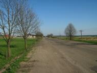 Лісопотік з panoramio.com