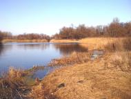 Андріївка з panoramio.com