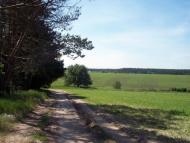 Вишняки з panoramio.com