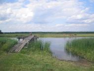 Хабарище з panoramio.com