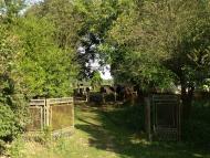 Спасів з panoramio.com