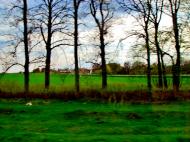 Ківшовата з panoramio.com