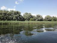 Куйбишеве з panoramio.com