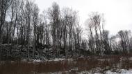 Ворочово з panoramio.com - Ворочево