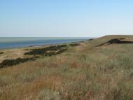 Аврора з panoramio.com