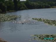 Воробіївка з panoramio.com