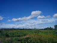 Стеблівка з panoramio.com