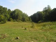 Питомник з panoramio.com