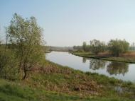 Куна з panoramio.com