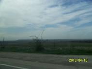 Левадки з panoramio.com