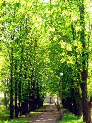 Рай-Оленівка з panoramio.com