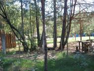 Рудня-Городищенська з panoramio.com