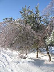 Домажир з panoramio.com